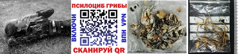 Псилоцибиновые грибы Psilocybine cubensis  Обь 